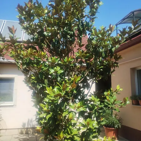 Appartement Sas 6 Hajdúszoboszló